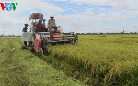 Mekong River Delta prepared for TPP participation - ảnh 2